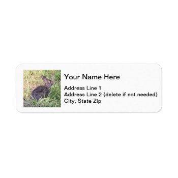 Eastern Cottontail Label by DEidamPhoto at Zazzle