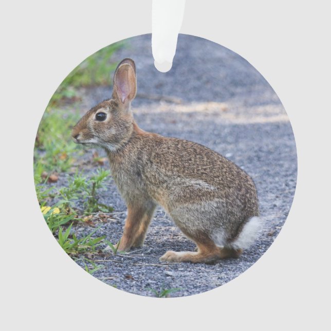 Eastern Cottontail Ornament (Front)