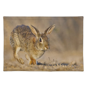 Eastern cottontail rabbit hopping cloth placemat