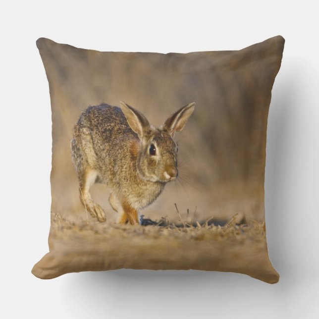 Eastern cottontail rabbit hopping throw pillow (Front)