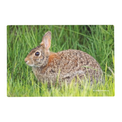 Eastern Cottontail Rabbit in the Long Grass Placemat