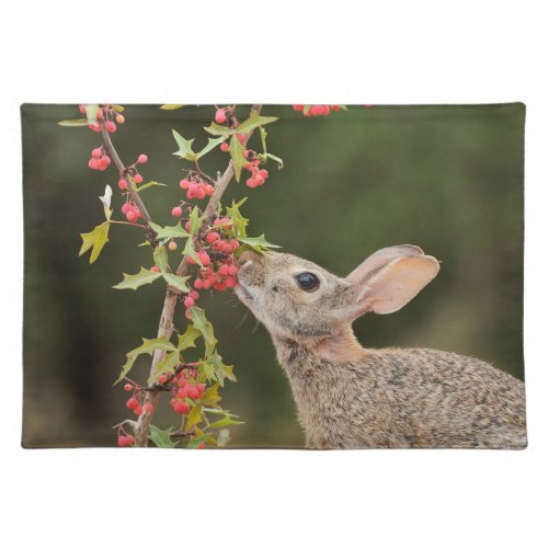 Eastern Cottontail  South Texas Cloth Placemat