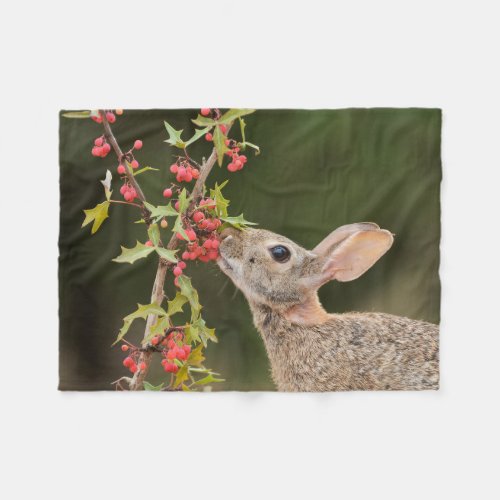 Eastern Cottontail  South Texas Fleece Blanket