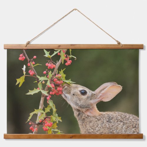 Eastern Cottontail  South Texas Hanging Tapestry