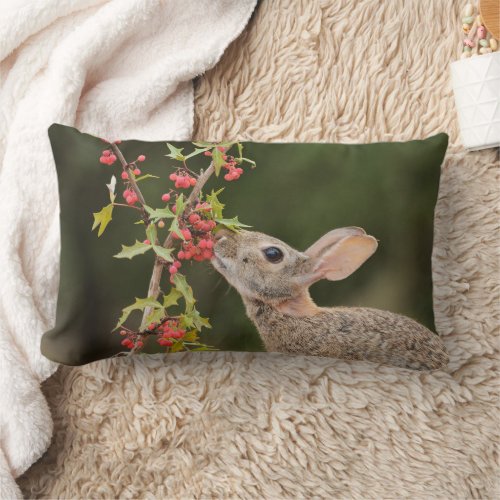 Eastern Cottontail  South Texas Lumbar Pillow