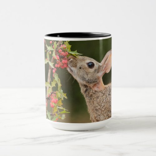 Eastern Cottontail  South Texas Mug