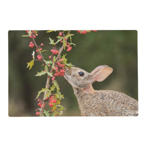 Eastern Cottontail  South Texas Placemat