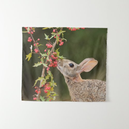 Eastern Cottontail  South Texas Tapestry