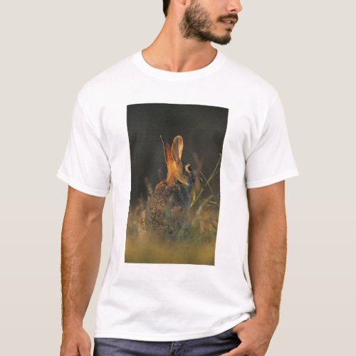 Eastern Cottontail Sylvilagus floridanus T_Shirt