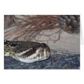 eastern diamondback rattlesnake (Front Horizontal)