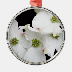 Eastern Dogwood Blossoms - Cornus florida Metal Ornament