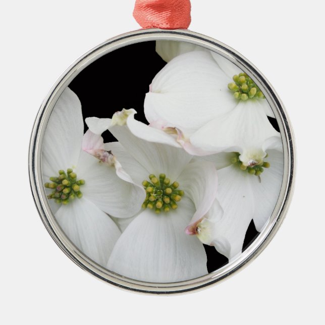 Eastern Dogwood Blossoms - Cornus florida Metal Ornament (Front)