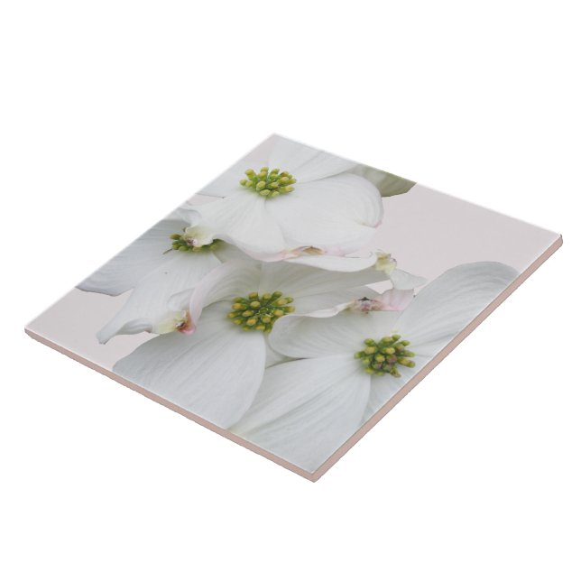 Eastern Dogwood Blossoms - Cornus florida Tile (Side)
