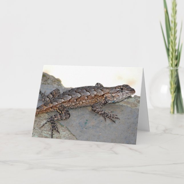 Eastern Fence Lizard card (Front)