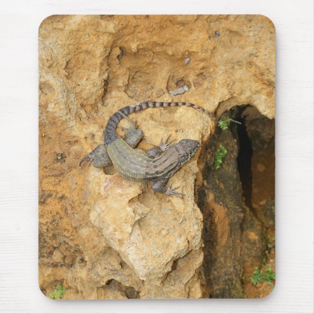 Eastern Fence Lizard Mouse Pad (Front)