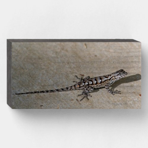 Eastern Fence Lizard Wooden Box Sign