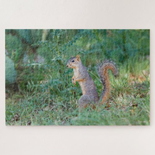 Eastern Fox Squirrel Jigsaw Puzzle