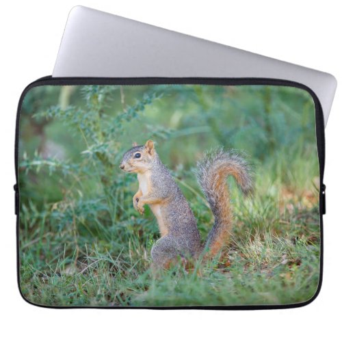 Eastern Fox Squirrel Laptop Sleeve