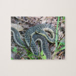 Eastern Garter Snake at Cape Cod Jigsaw Puzzle