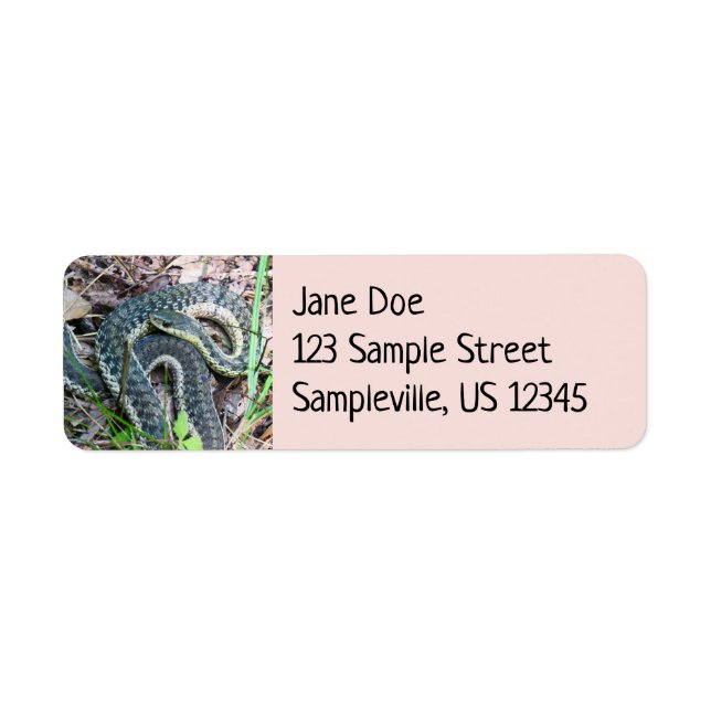 Eastern Garter Snake at Cape Cod Label (Front)