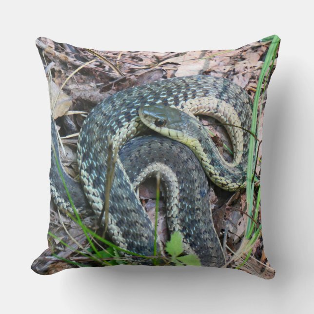 Eastern Garter Snake at Cape Cod Throw Pillow (Front)