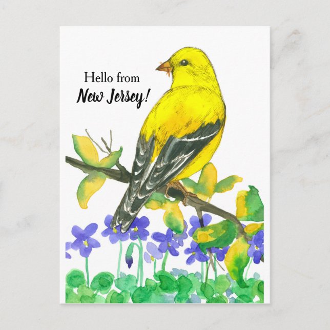 Eastern Goldfinch Bird Hello From New Jersey Postcard (Front)