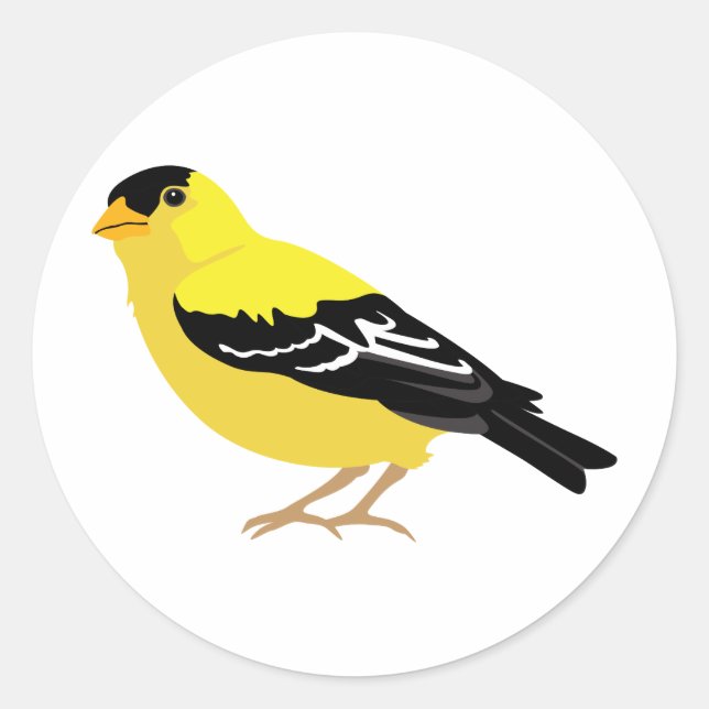 Eastern Goldfinch Classic Round Sticker (Front)