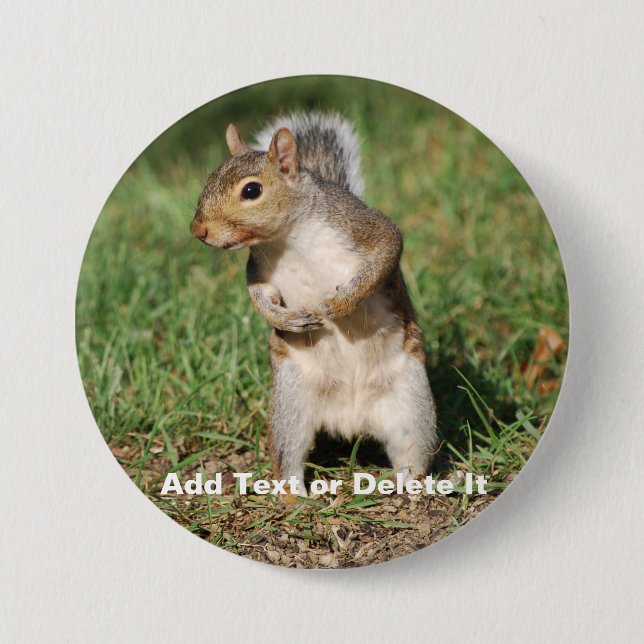 Eastern Gray Squirrel button (Front)