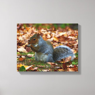 Eastern Gray Squirrel Canvas Print