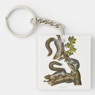 Eastern Gray Squirrel (Migratory Squirrel) Audubon Keychain