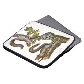 Eastern Gray Squirrel (Migratory Squirrel) Audubon Laptop Sleeve