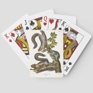 Eastern Gray Squirrel (Migratory Squirrel) Audubon Poker Cards
