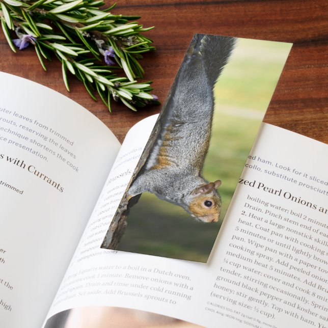 Eastern Gray Squirrel Nature Photo Bookmarks (Book)