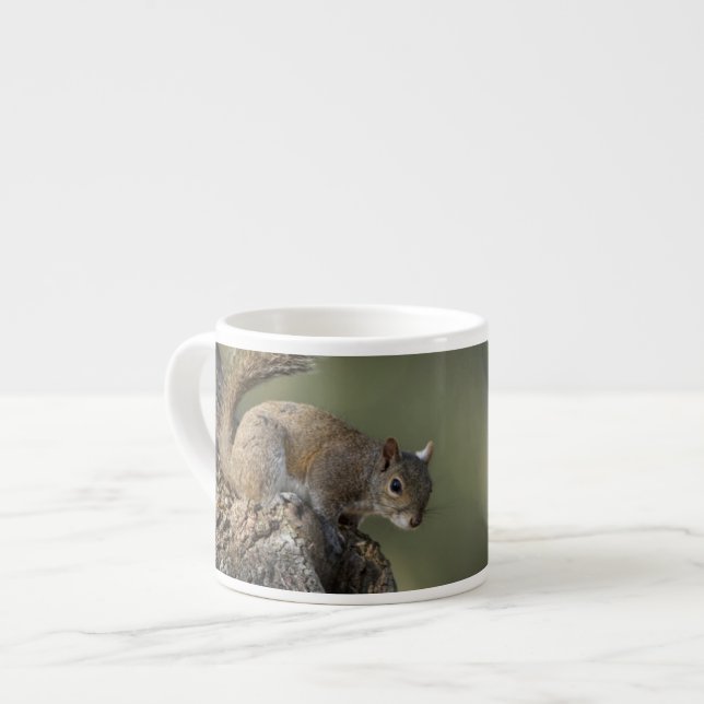 Eastern Gray Squirrel, or grey squirrel Espresso Cup (Front Left)