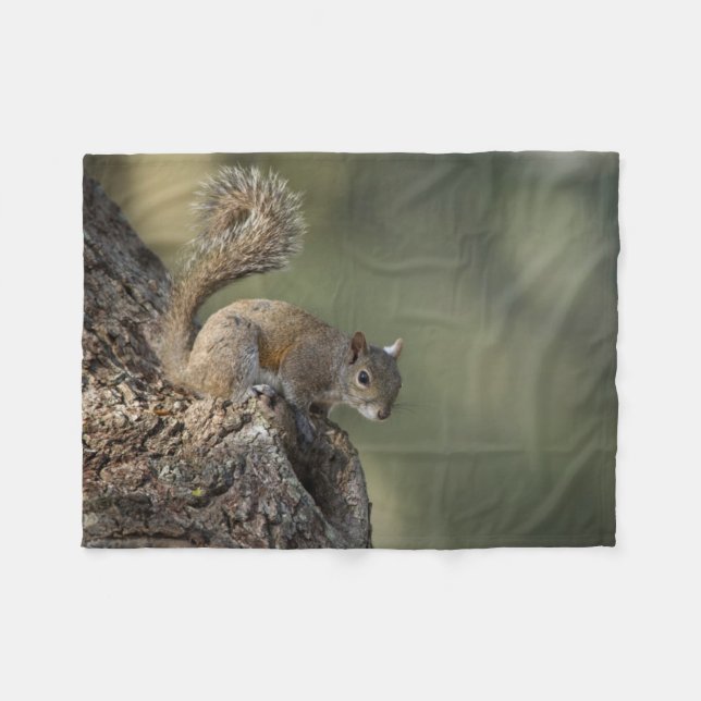 Eastern Gray Squirrel, or grey squirrel Fleece Blanket (Front (Horizontal))