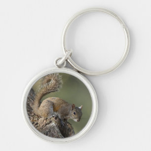 Eastern Gray Squirrel, or grey squirrel Keychain