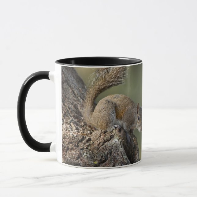 Eastern Gray Squirrel, or grey squirrel Mug (Left)