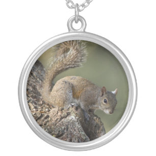 Eastern Gray Squirrel, or grey squirrel Silver Plated Necklace