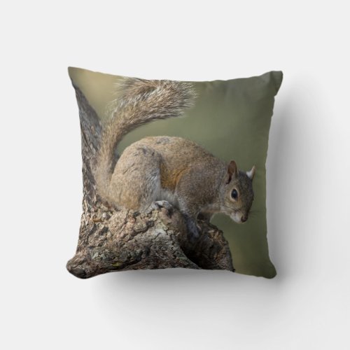 Eastern Gray Squirrel or grey squirrel Throw Pillow