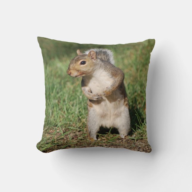 Eastern Gray Squirrel pillow (Front)