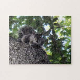 Eastern Gray Squirrel Posing in a Live Oak Tree Jigsaw Puzzle