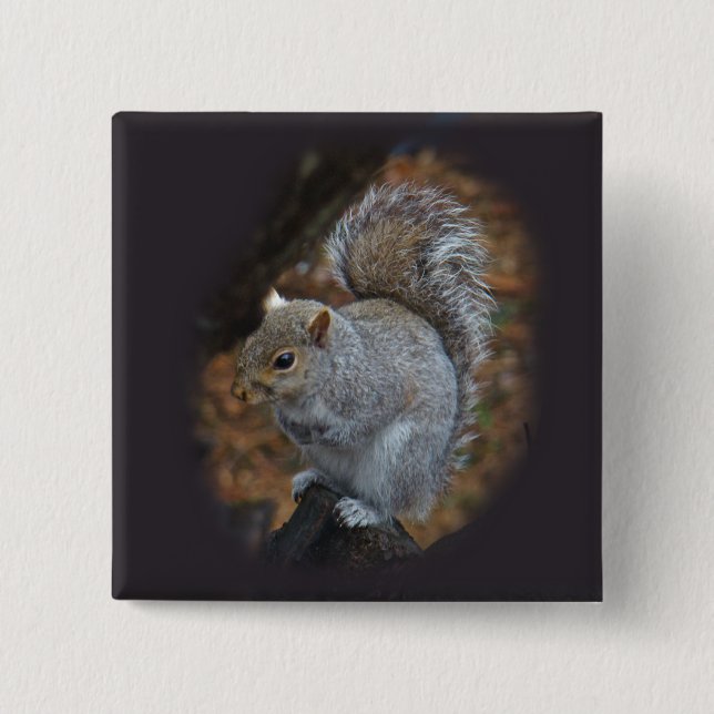 Eastern Gray Squirrel - Sciurus carolinensis Button (Front)