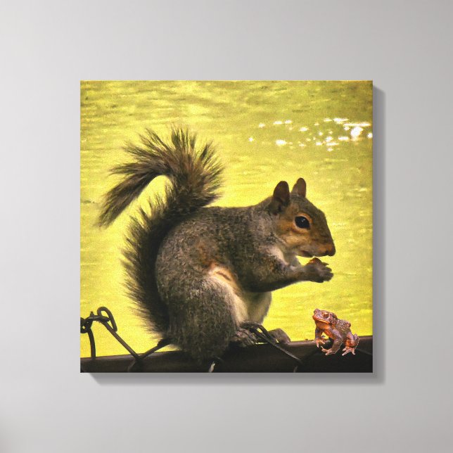Eastern gray squirrel (Sciurus carolinensis)  Canvas Print (Front)