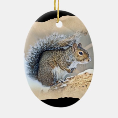 Eastern Gray Squirrel _ Sciurus carolinensis Ceramic Ornament