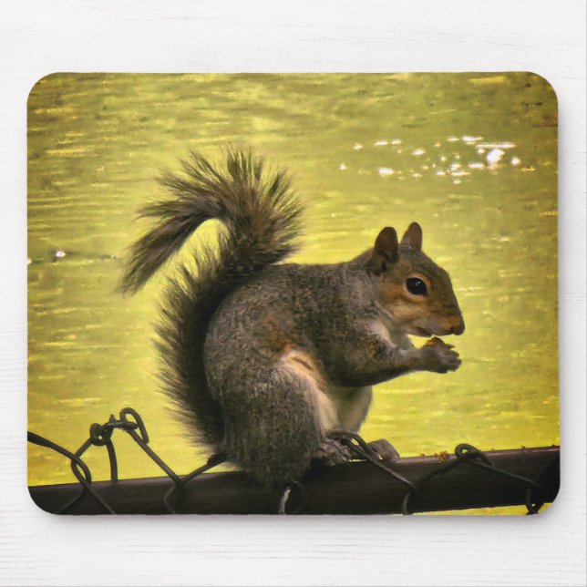 Eastern gray squirrel (Sciurus carolinensis)  Mouse Pad (Front)