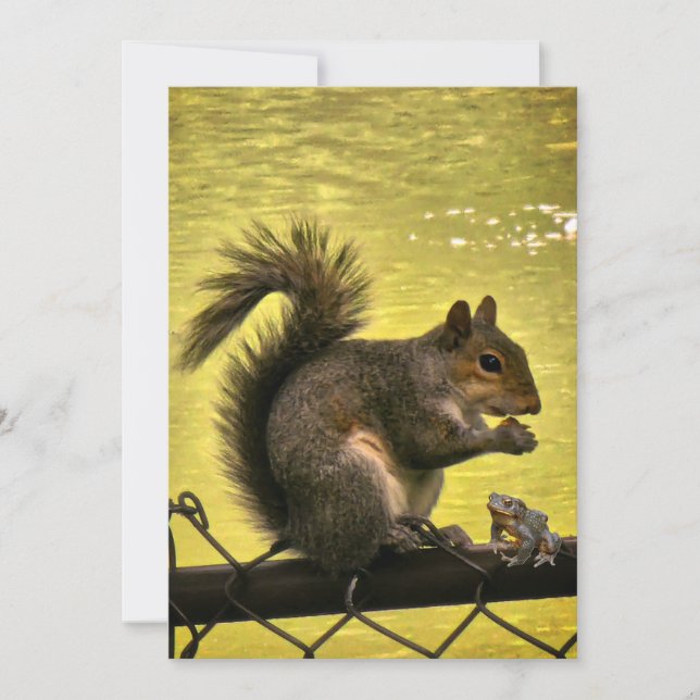 Eastern gray squirrel (Sciurus carolinensis)  Thank You Card (Front)