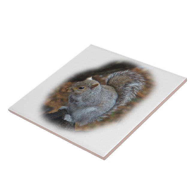 Eastern Gray Squirrel - Sciurus carolinensis Tile (Side)