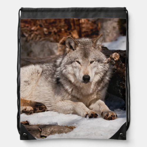 Eastern Gray Wolf Drawstring Bag