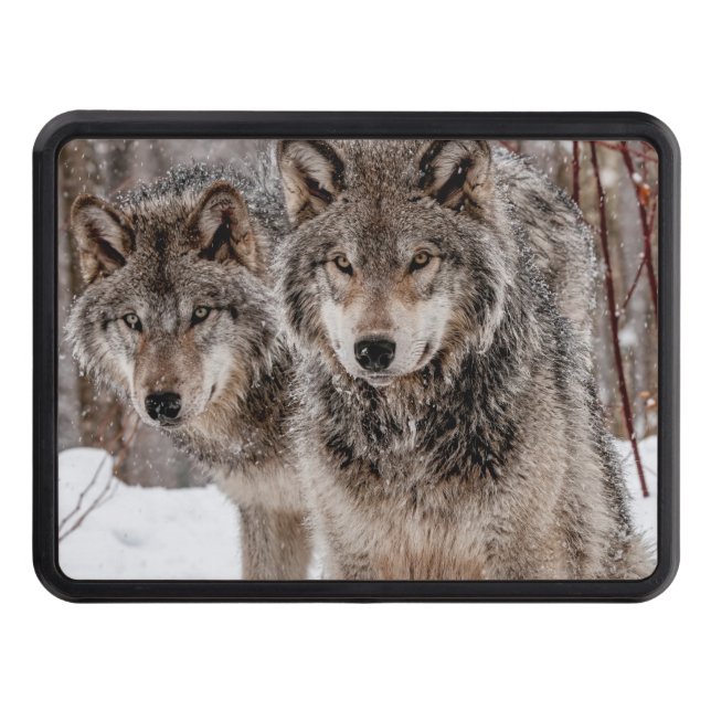 Eastern Gray Wolf   Hitch Cover (Front)