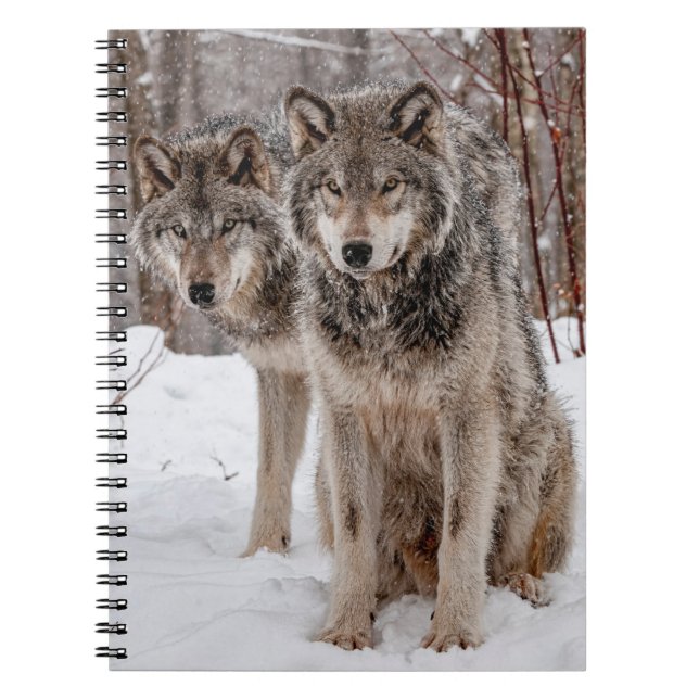 Eastern Gray Wolf Notebook (Front)